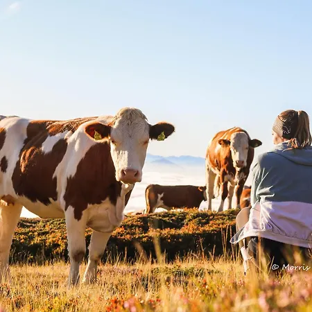Σπίτι διακοπών Glocknerhaus
