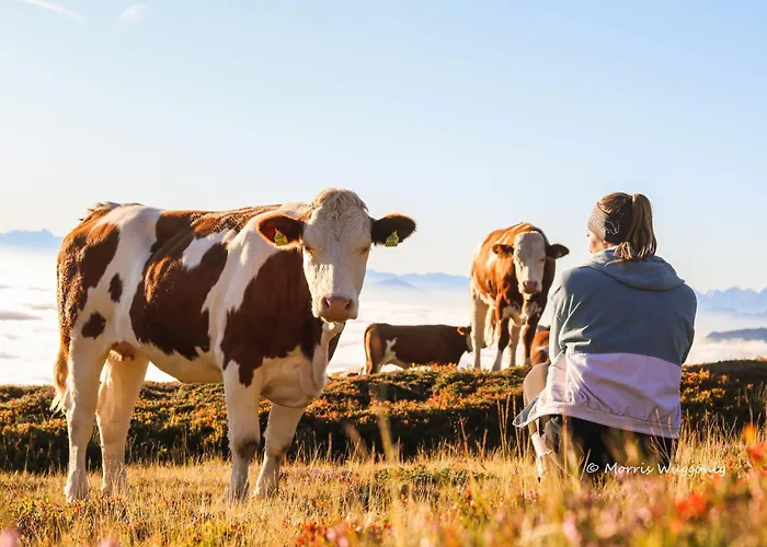 Hébergement de vacances Glocknerhaus
